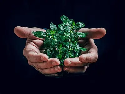 В компании возвращается интерес к устойчивому развитию и стратегии ESG
